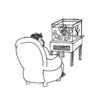TV-t nem néző ember